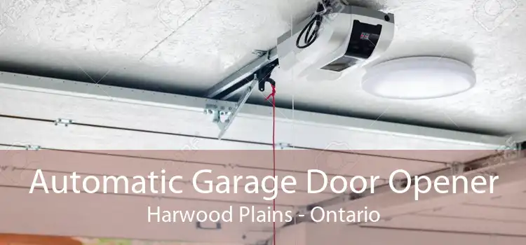 Automatic Garage Door Opener Harwood Plains - Ontario