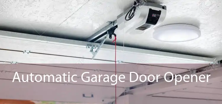 Automatic Garage Door Opener