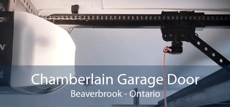 Chamberlain Garage Door Beaverbrook - Ontario