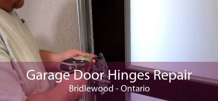Garage Door Hinges Repair Bridlewood - Ontario