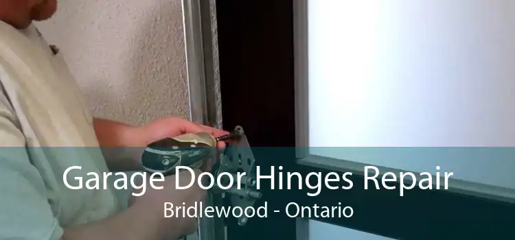 Garage Door Hinges Repair Bridlewood - Ontario