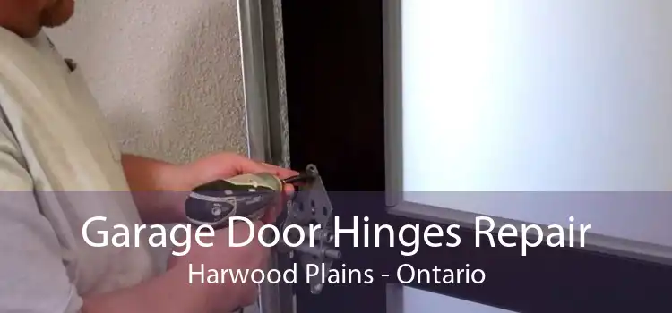 Garage Door Hinges Repair Harwood Plains - Ontario
