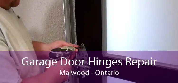 Garage Door Hinges Repair Malwood - Ontario