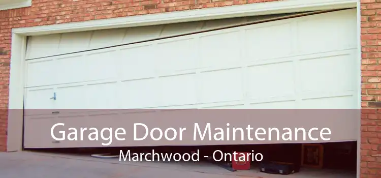 Garage Door Maintenance Marchwood - Ontario