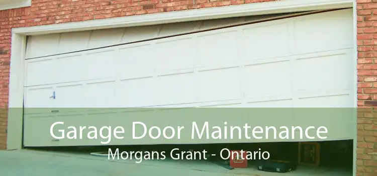 Garage Door Maintenance Morgans Grant - Ontario