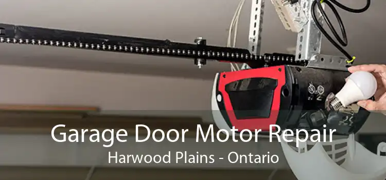 Garage Door Motor Repair Harwood Plains - Ontario