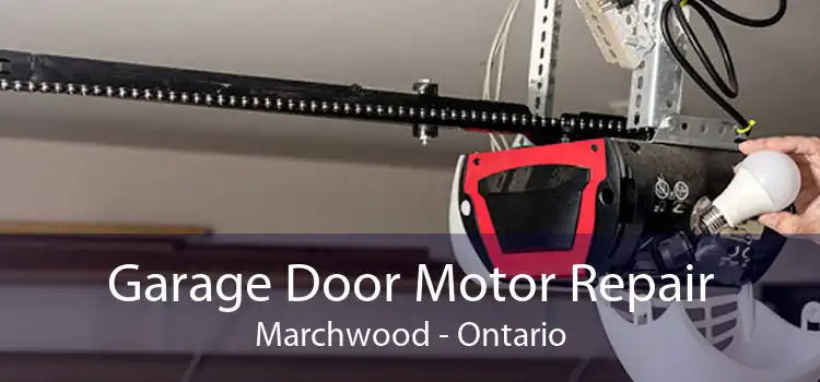 Garage Door Motor Repair Marchwood - Ontario