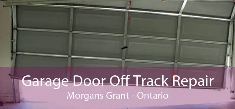 Garage Door Off Track Repair Morgans Grant - Ontario
