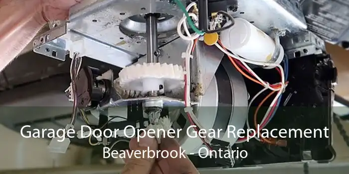 Garage Door Opener Gear Replacement Beaverbrook - Ontario