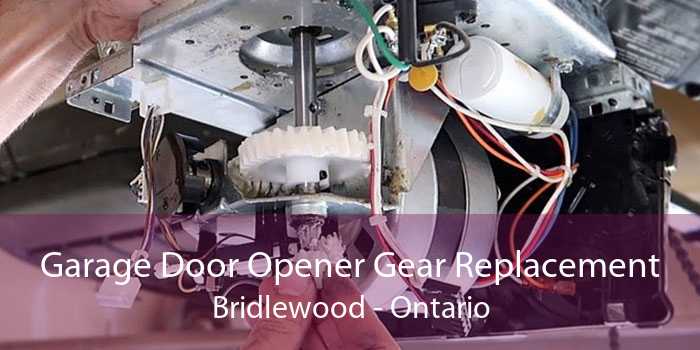Garage Door Opener Gear Replacement Bridlewood - Ontario