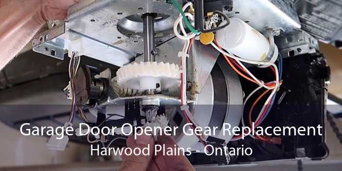 Garage Door Opener Gear Replacement Harwood Plains - Ontario