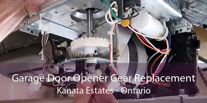 Garage Door Opener Gear Replacement Kanata Estates - Ontario