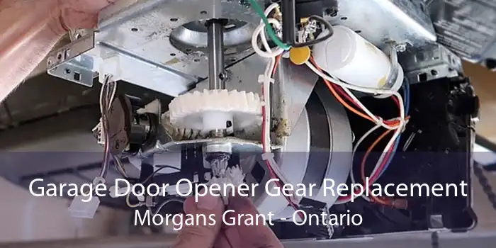 Garage Door Opener Gear Replacement Morgans Grant - Ontario