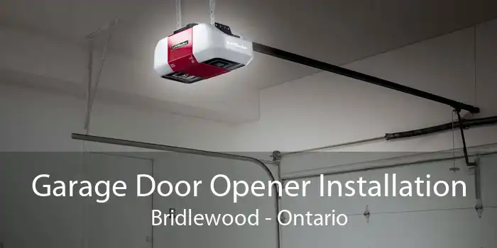 Garage Door Opener Installation Bridlewood - Ontario