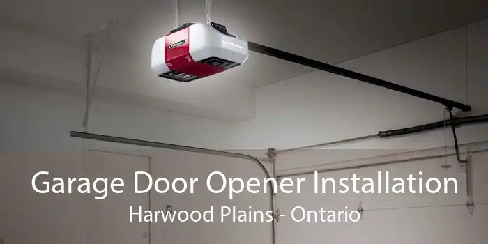 Garage Door Opener Installation Harwood Plains - Ontario