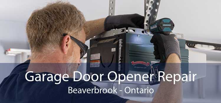 Garage Door Opener Repair Beaverbrook - Ontario