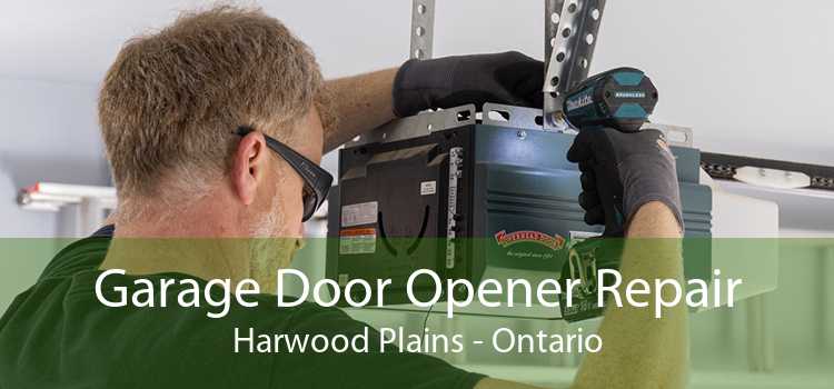 Garage Door Opener Repair Harwood Plains - Ontario