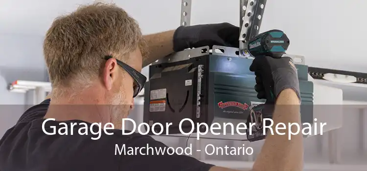 Garage Door Opener Repair Marchwood - Ontario