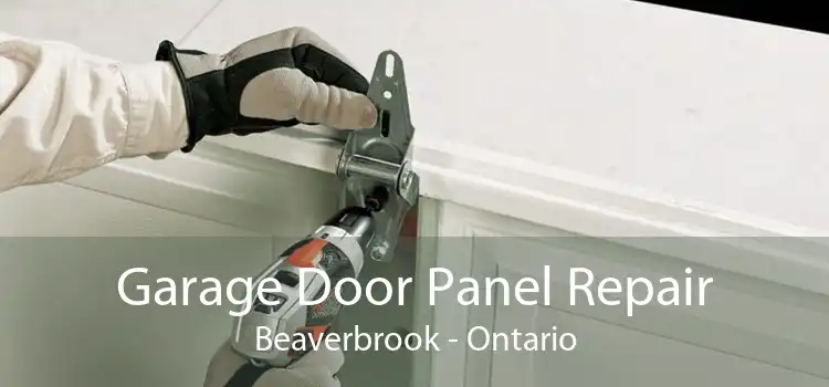 Garage Door Panel Repair Beaverbrook - Ontario