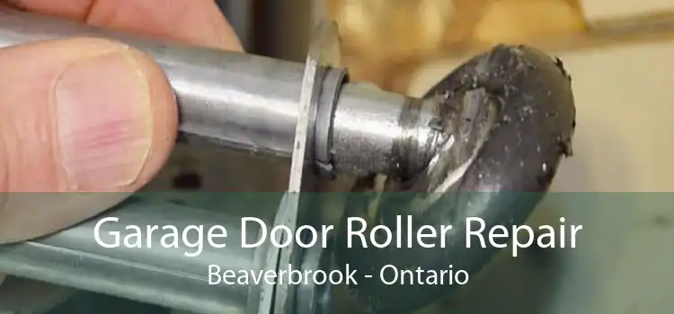 Garage Door Roller Repair Beaverbrook - Ontario