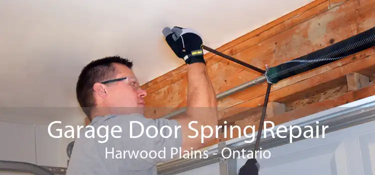 Garage Door Spring Repair Harwood Plains - Ontario