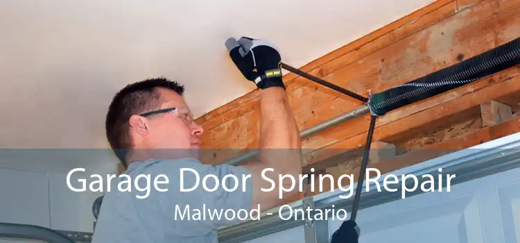Garage Door Spring Repair Malwood - Ontario
