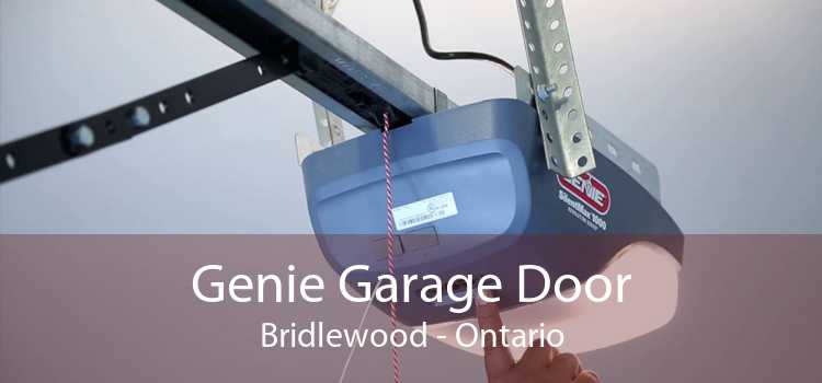 Genie Garage Door Bridlewood - Ontario