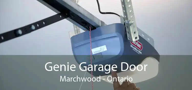 Genie Garage Door Marchwood - Ontario