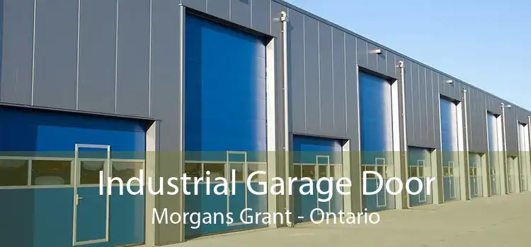 Industrial Garage Door Morgans Grant - Ontario