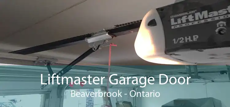 Liftmaster Garage Door Beaverbrook - Ontario