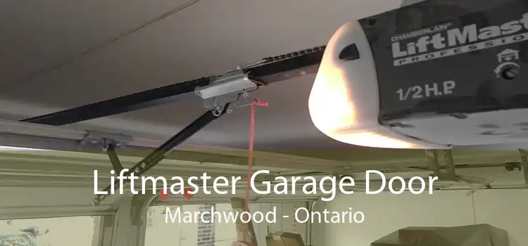 Liftmaster Garage Door Marchwood - Ontario