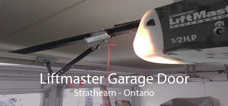 Liftmaster Garage Door Strathearn - Ontario
