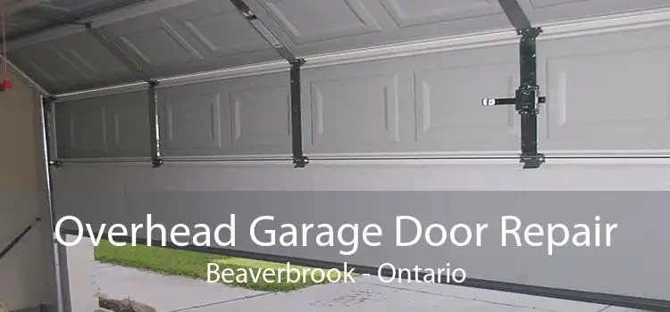 Overhead Garage Door Repair Beaverbrook - Ontario