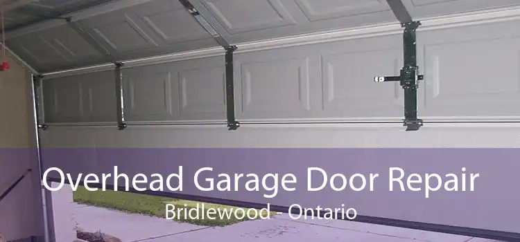 Overhead Garage Door Repair Bridlewood - Ontario