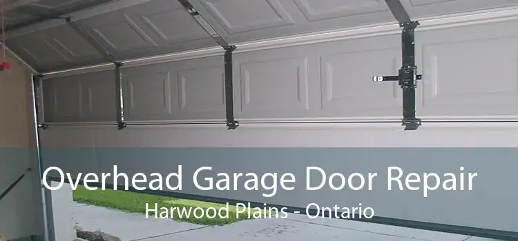 Overhead Garage Door Repair Harwood Plains - Ontario