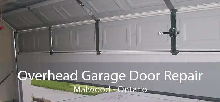 Overhead Garage Door Repair Malwood - Ontario