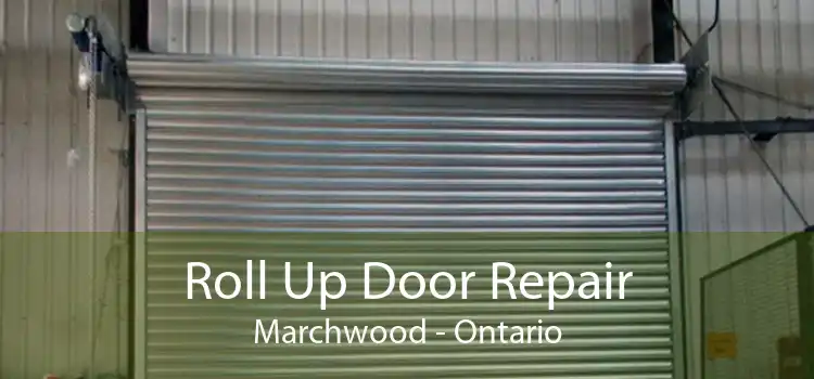 Roll Up Door Repair Marchwood - Ontario